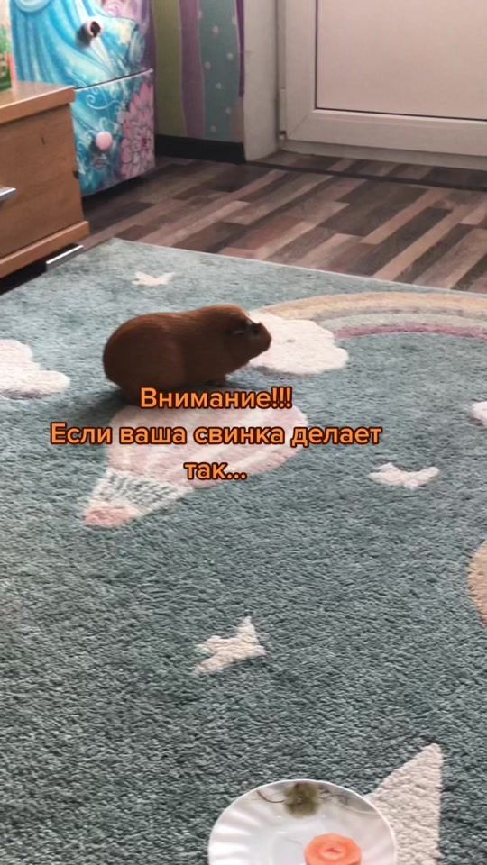 TikTok video thumbnail by sonya_tilya