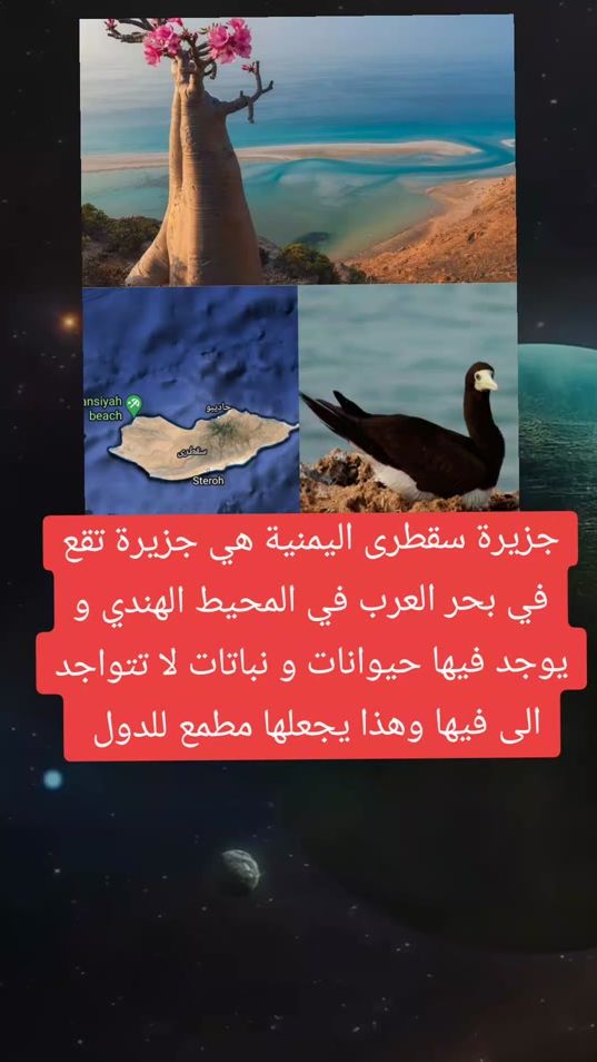 TikTok video thumbnail by lbas711
