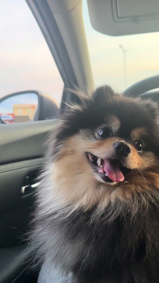TikTok video thumbnail by kimtantan_