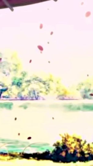 TikTok video thumbnail by kohapiya