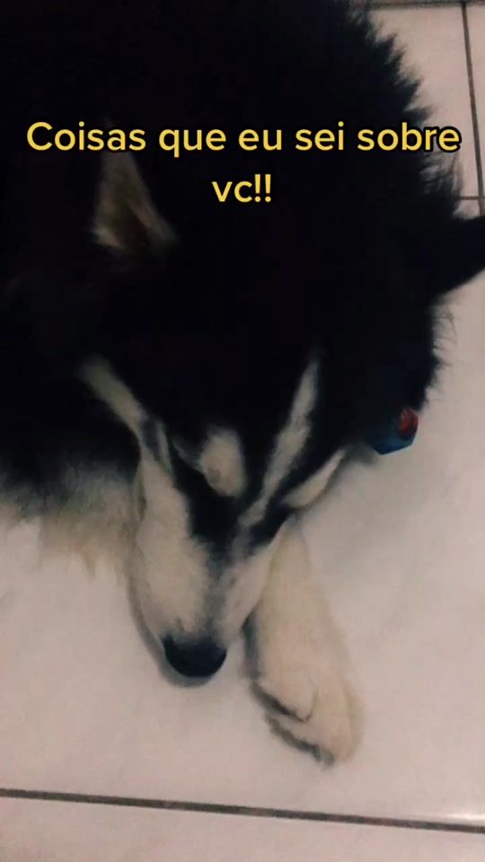 TikTok video thumbnail by kovuzinho_0fc