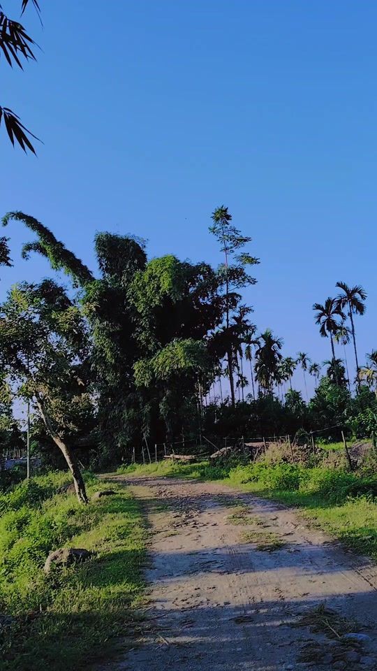 TikTok video thumbnail by reenapuri07