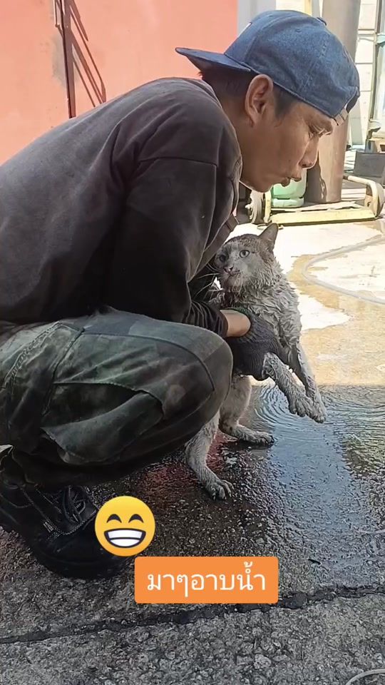 TikTok video thumbnail by nyj249999