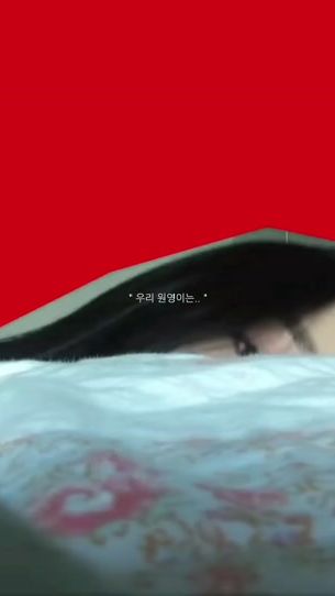 TikTok video thumbnail by ivedive1201._.wy