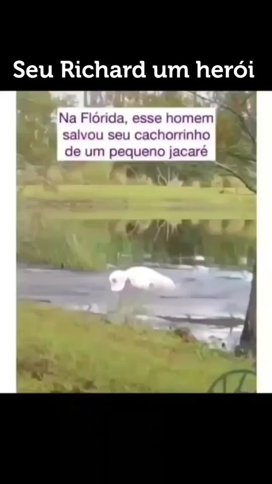 TikTok video thumbnail by taticoutypet
