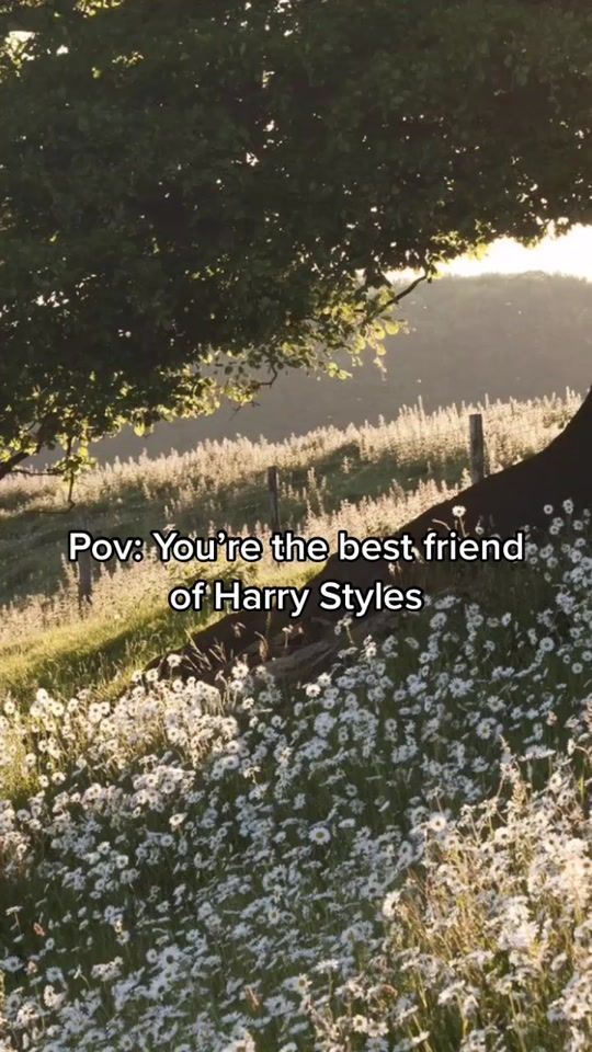 TikTok video thumbnail by harryslittlecreature