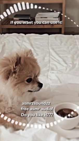 TikTok video thumbnail by notesxsounds
