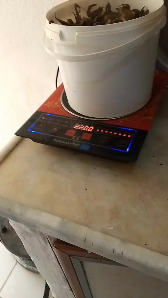 TikTok video thumbnail by user8822760446309