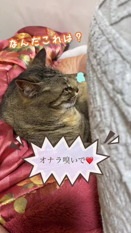 TikTok video thumbnail by nyanchanzu