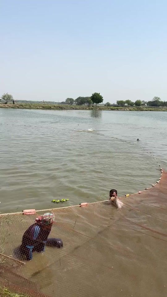 TikTok video thumbnail by moniruislammonir
