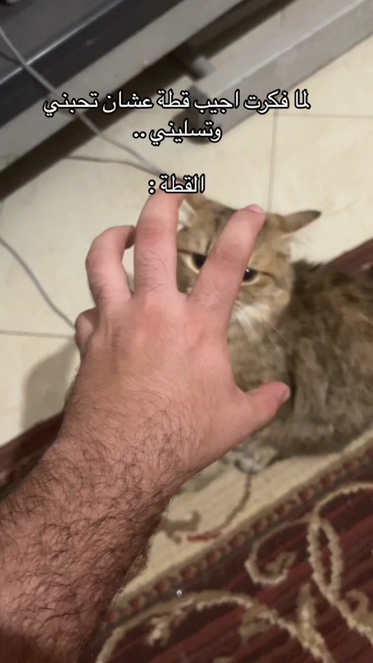 TikTok video thumbnail by mody_sonic