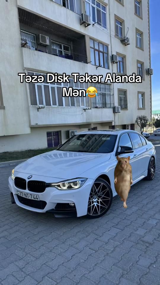 TikTok video thumbnail by elsever_234_