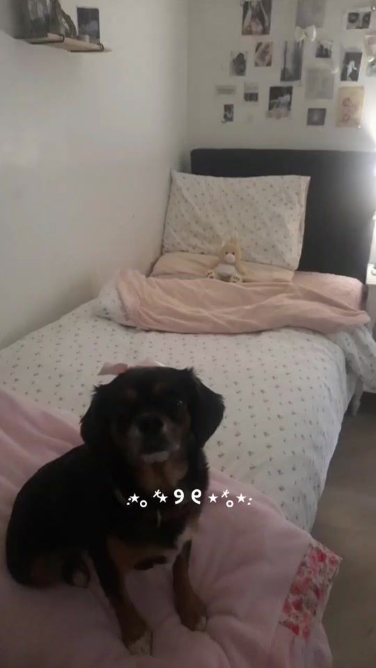 TikTok video thumbnail by reallifebabyfawn