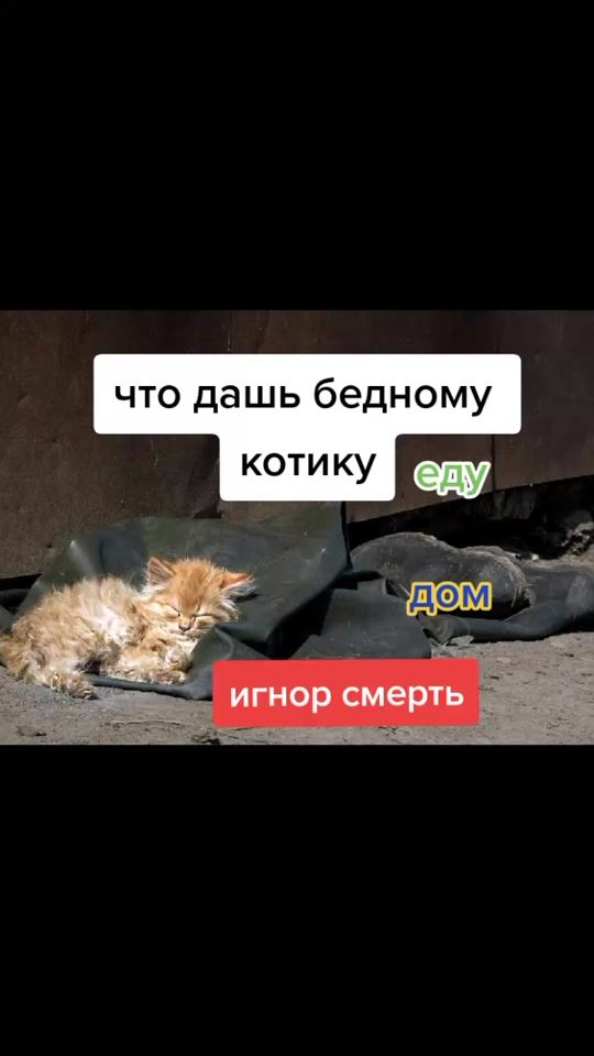 TikTok video thumbnail by wlad320