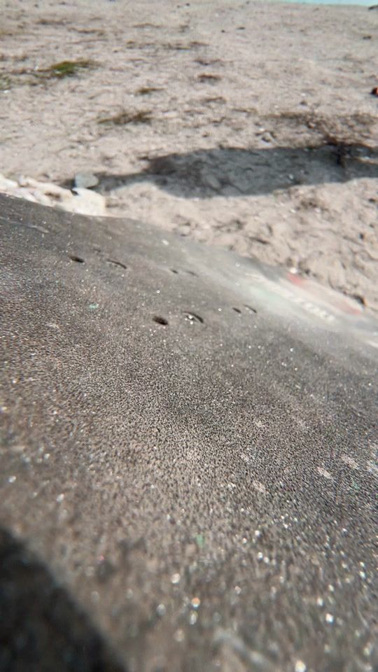TikTok video thumbnail by edinflips
