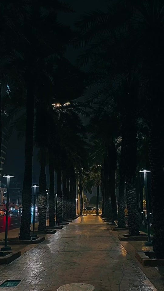 TikTok video thumbnail by heba_k_a