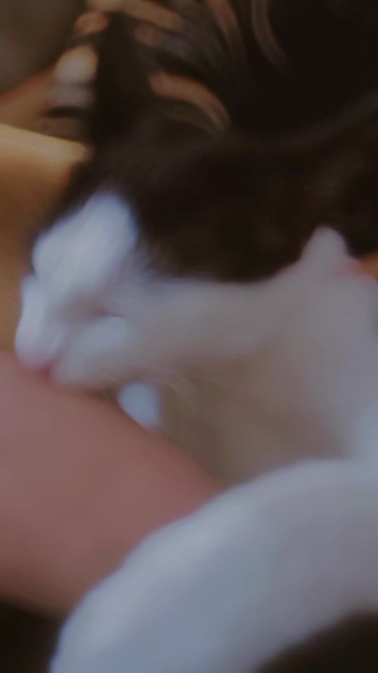 TikTok video thumbnail by _shi_mi_379