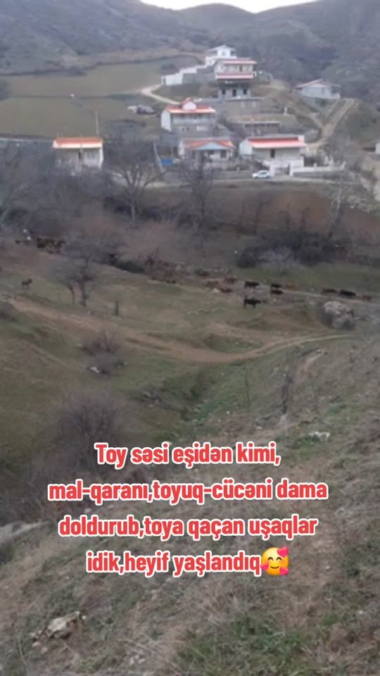 TikTok video thumbnail by shamilxelil.059
