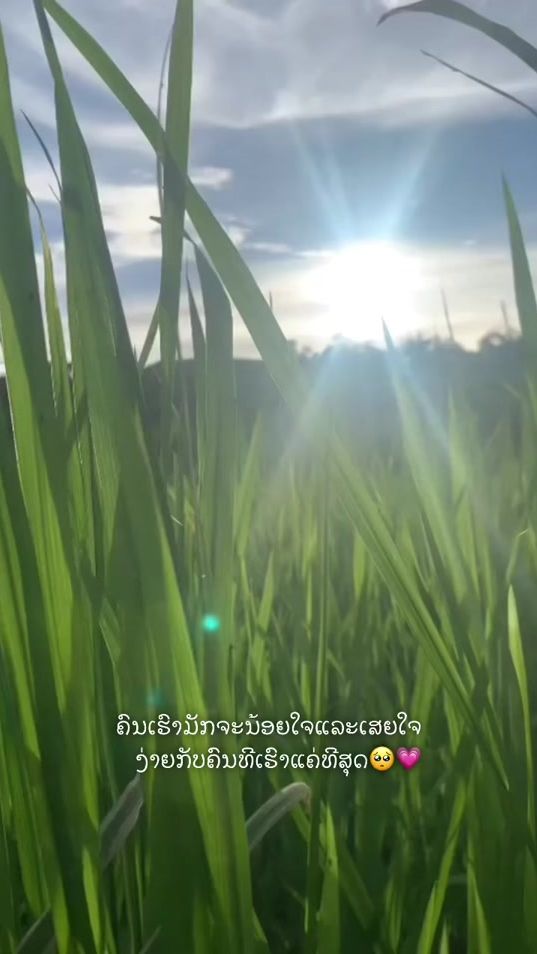 TikTok video thumbnail by cxllmesing