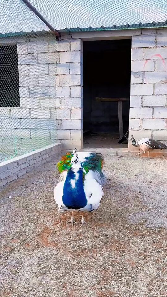 TikTok video thumbnail by anran005