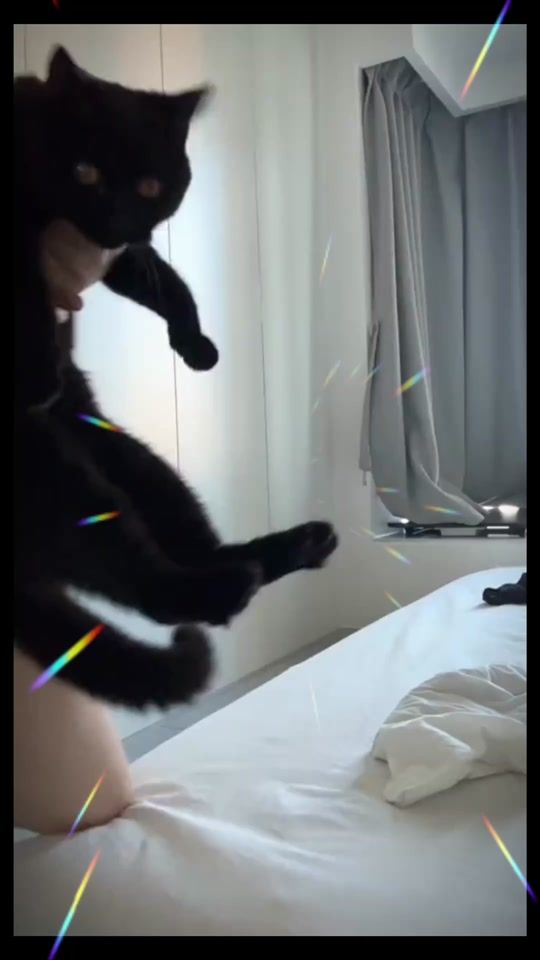 TikTok video thumbnail by zzinggg