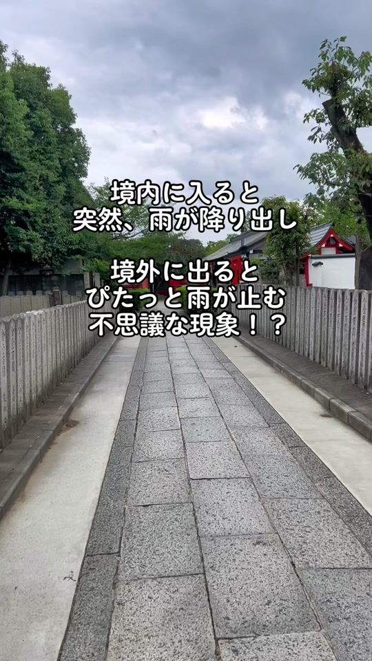 TikTok video thumbnail by d_kamegai