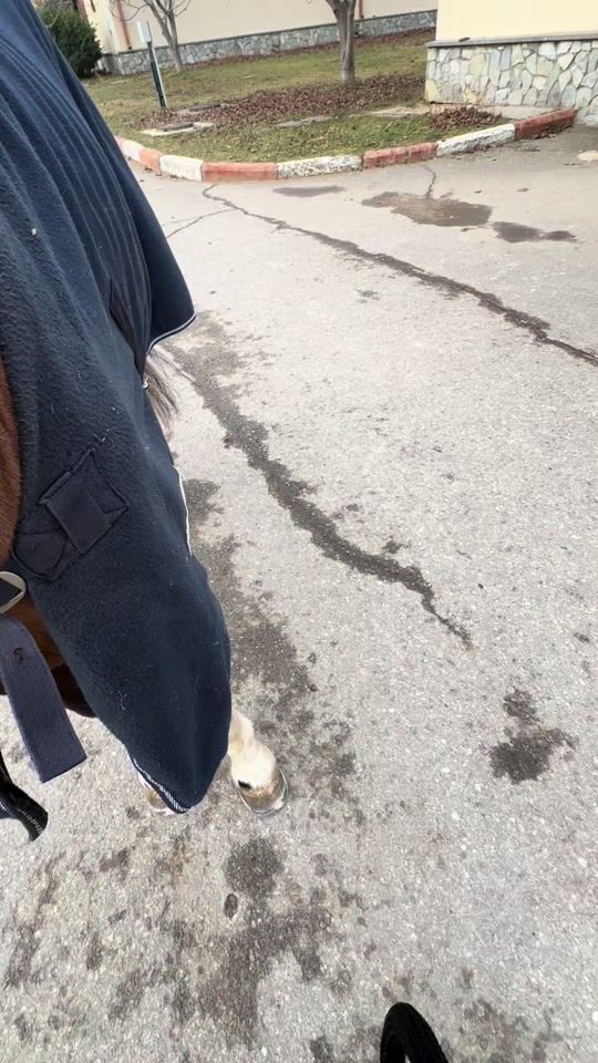 TikTok video thumbnail by mkantaria7