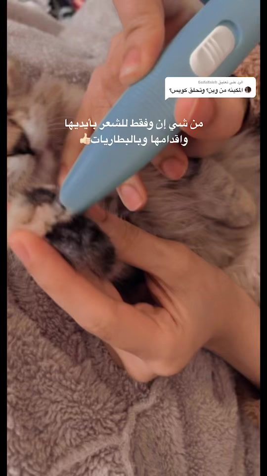 TikTok video thumbnail by amals21