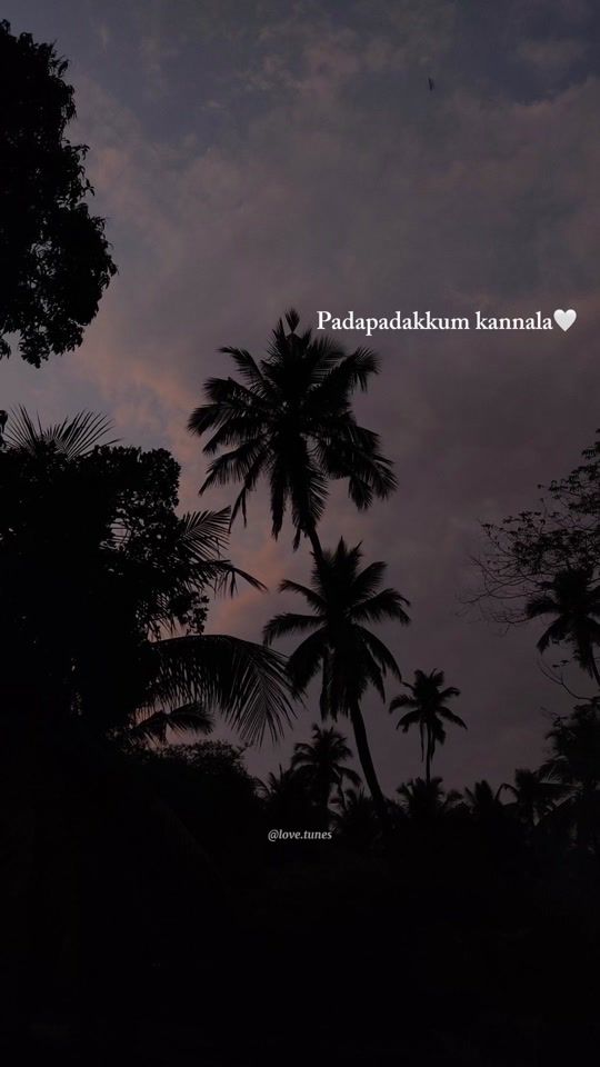 TikTok video thumbnail by love.tunes