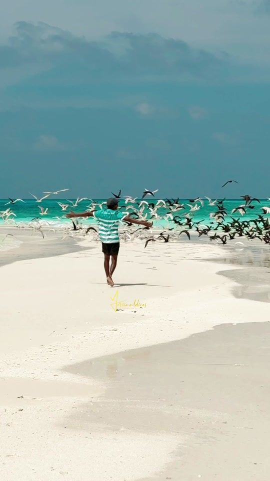 TikTok video thumbnail by yeriimaldives