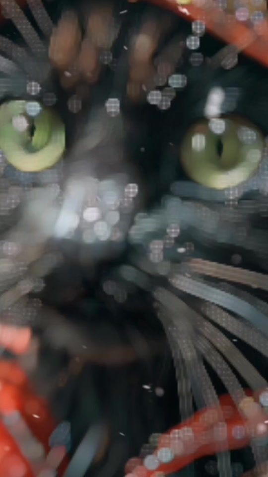TikTok video thumbnail by pragmaineisskilled0