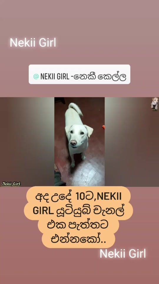 TikTok video thumbnail by nekiigirl