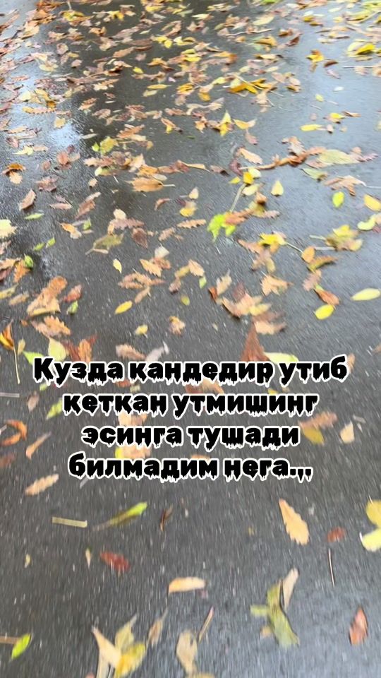 TikTok video thumbnail by nigora19861