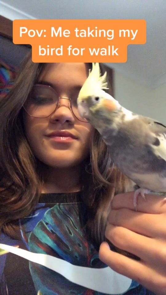 TikTok video thumbnail by gerwin.the.tiel