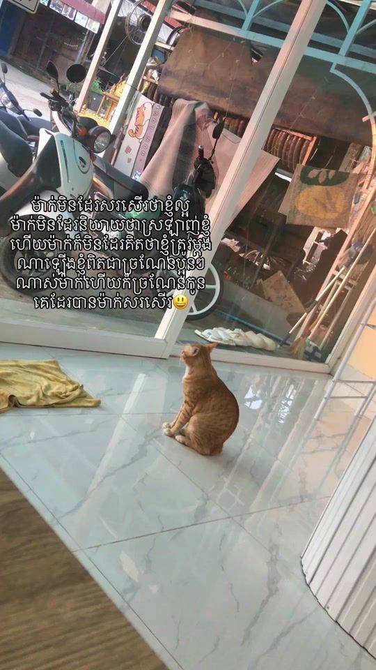 TikTok video thumbnail by tuuu781