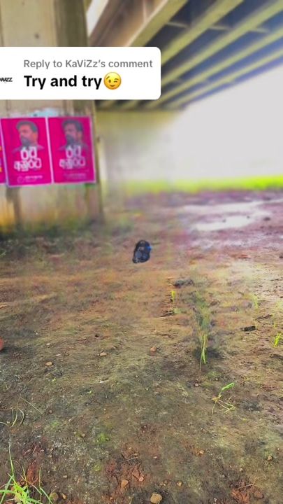 TikTok video thumbnail by akeelthariq