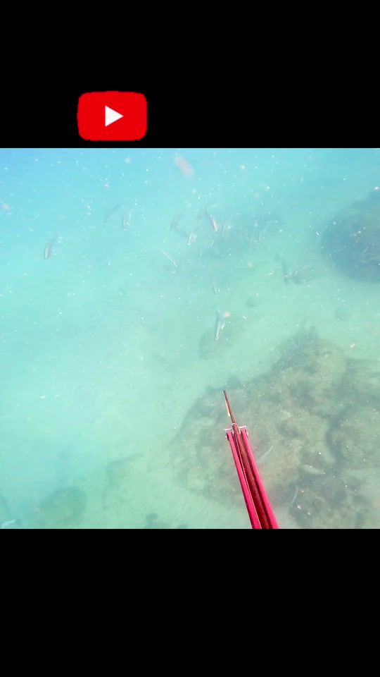 TikTok video thumbnail by reelloose_adventures