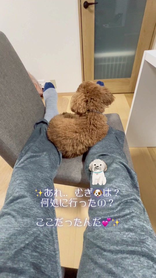 TikTok video thumbnail by masao0704
