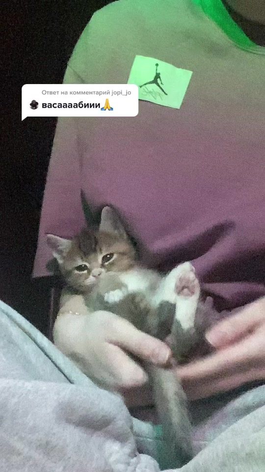 TikTok video thumbnail by gotusya