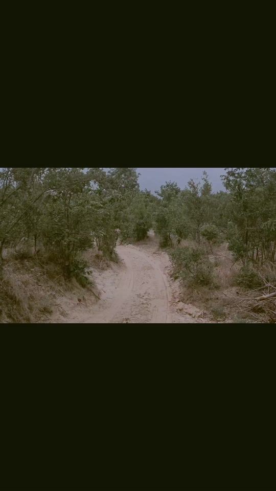 TikTok video thumbnail by user2329856012974