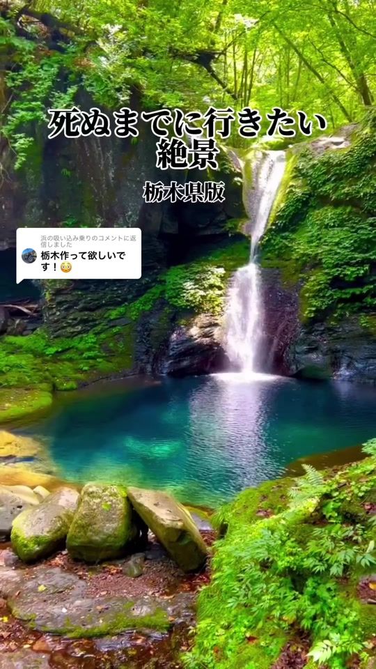 TikTok video thumbnail by zenkokuryokou_