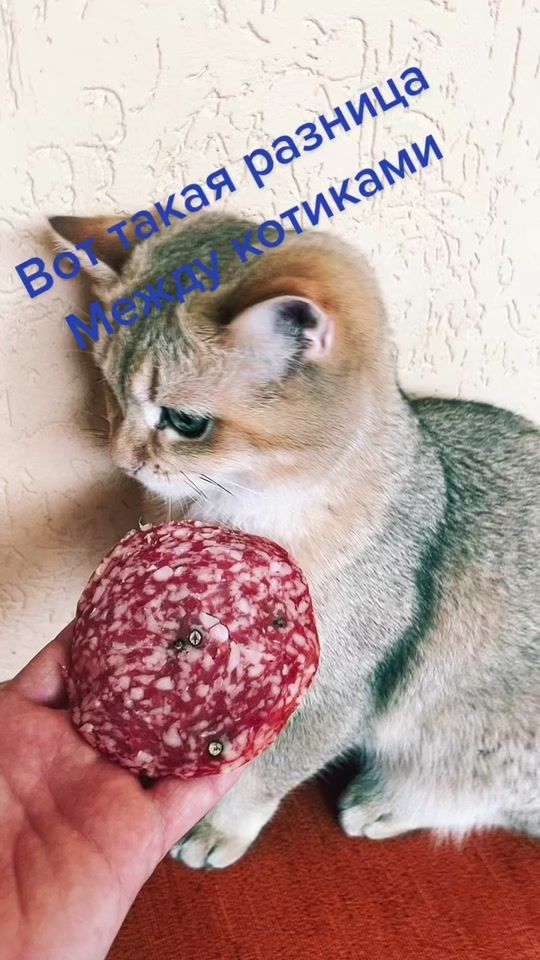 TikTok video thumbnail by romeo_duk
