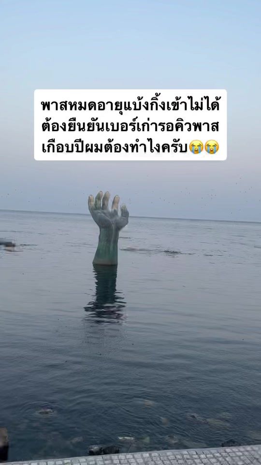 TikTok video thumbnail by wanit92