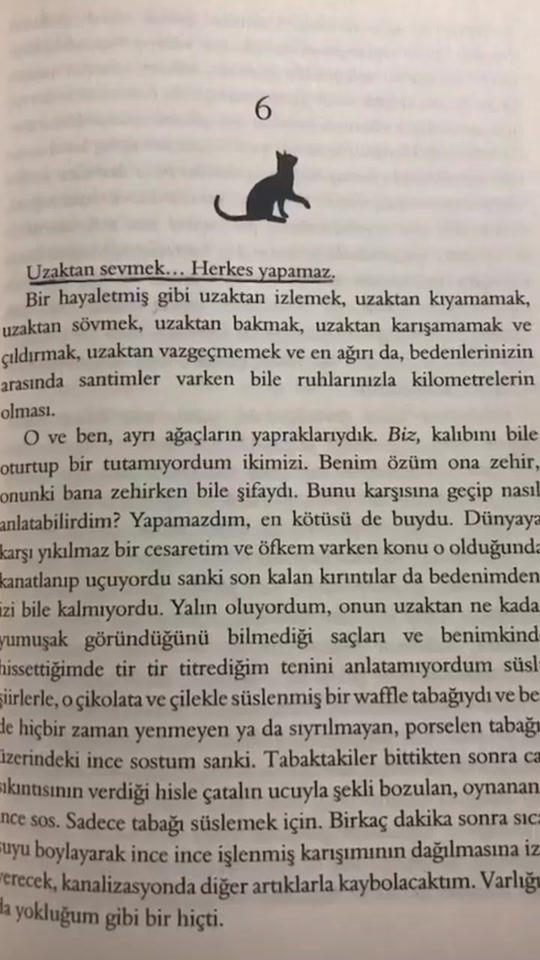 TikTok video thumbnail by user11142179264