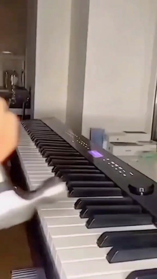 TikTok video thumbnail by rajahammadnisar