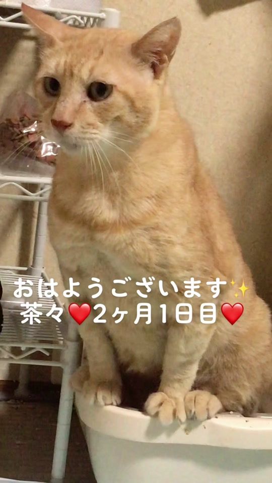 TikTok video thumbnail by mikisama03