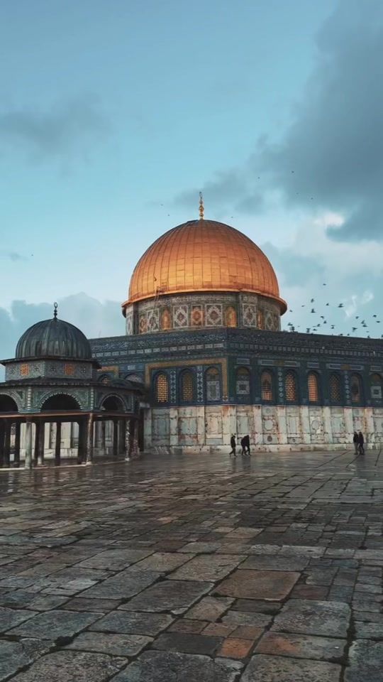TikTok video thumbnail by mohammadnatsheh