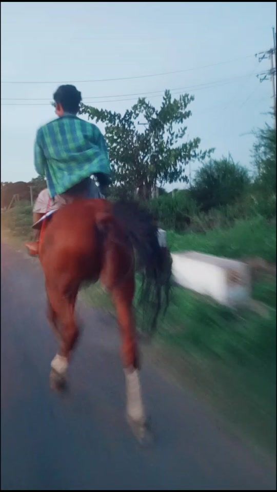 TikTok video thumbnail by jeelhep