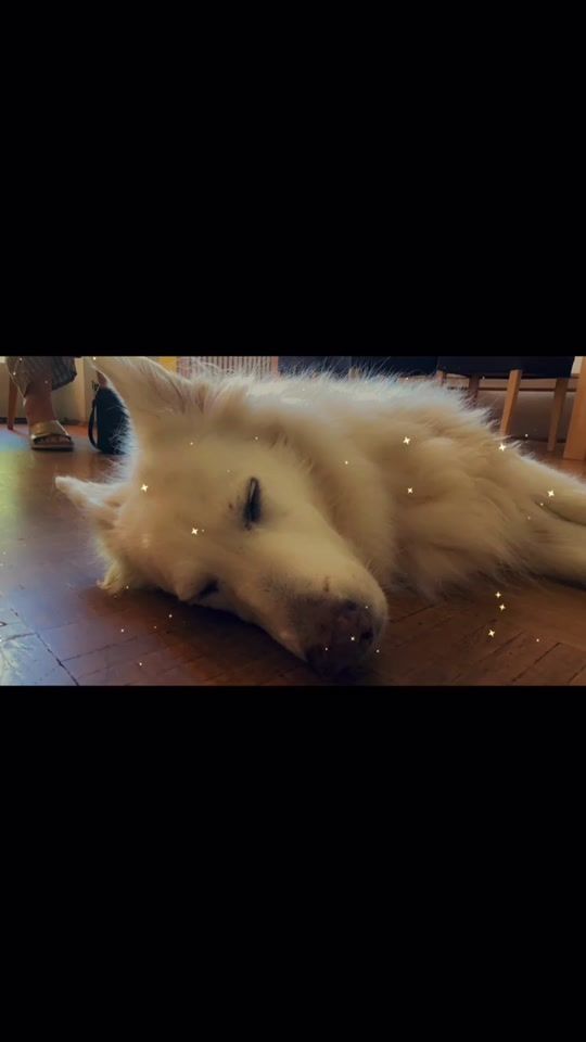 TikTok video thumbnail by einfach_die_celi