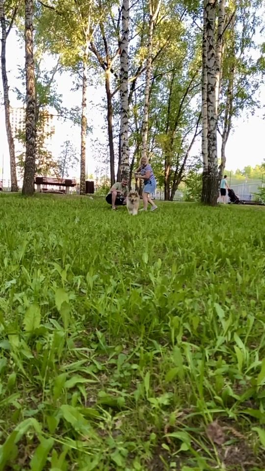 TikTok video thumbnail by lubimkinans